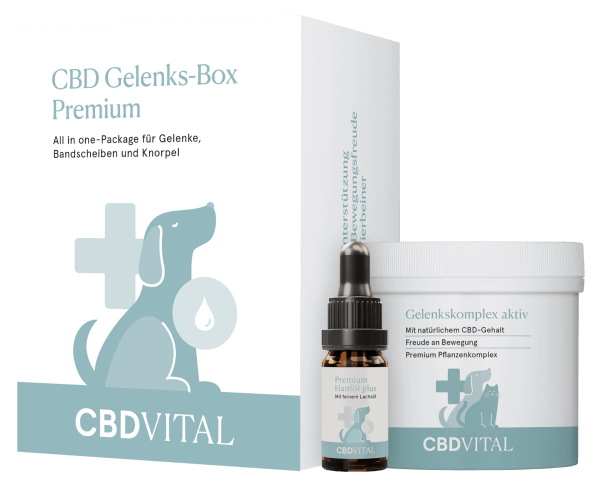 CBD-Vital VET Gelenks-Box Premium