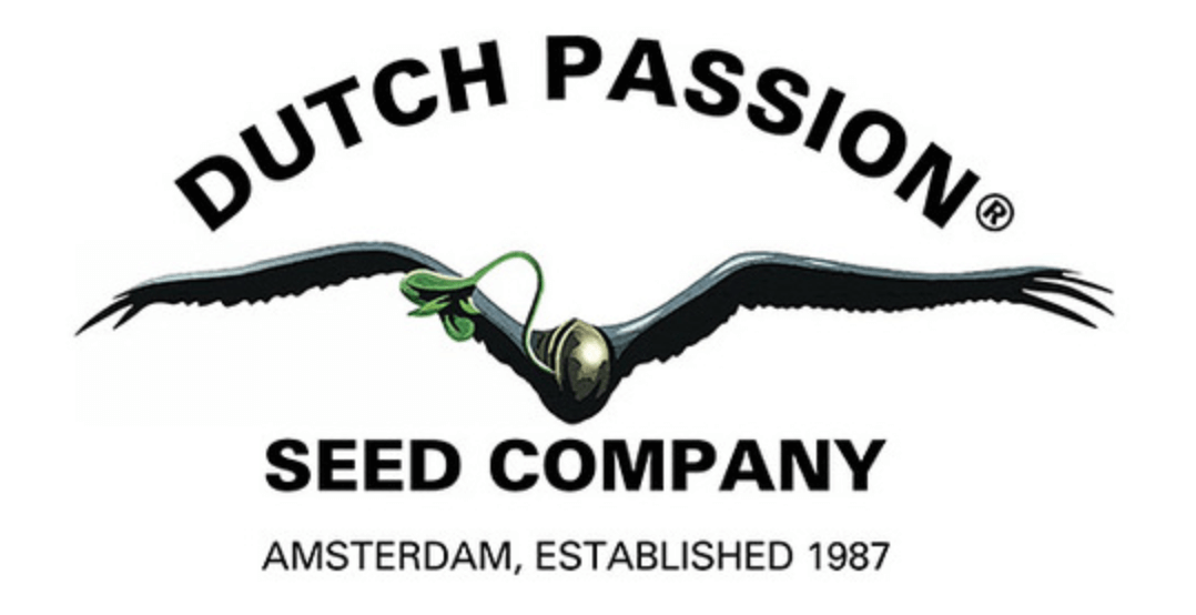 Dutch Passion