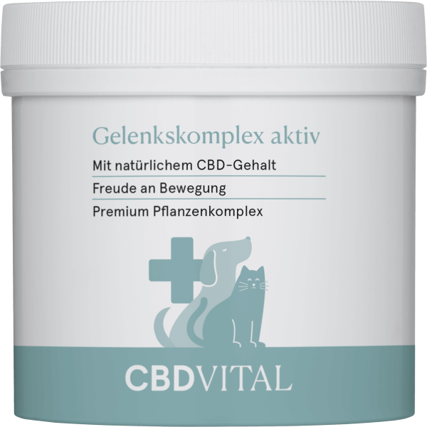 MHD 31.07.2024 CBD-Vital Gelenkskomplex aktiv (100 g)