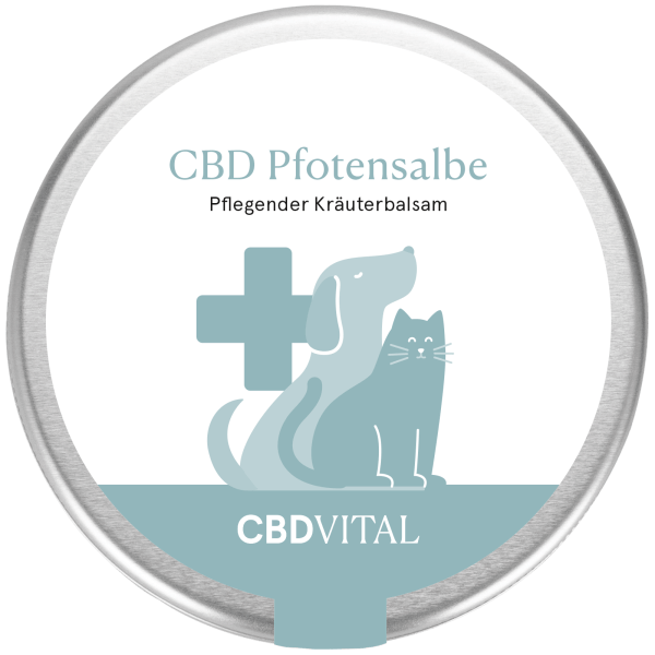 MHD 02.2024 CBD-Vital Pfotensalbe (90 g)